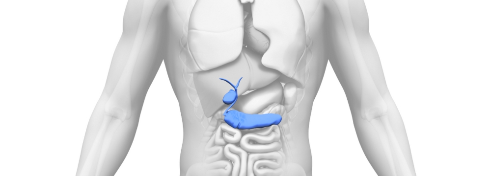 Diagram of human body with gallbladder highlighted in blue